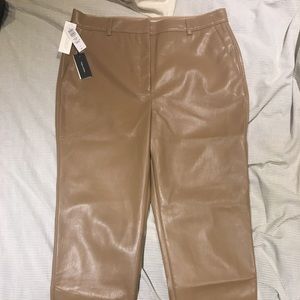 Aritzia Babaton Command Pant Ground Length